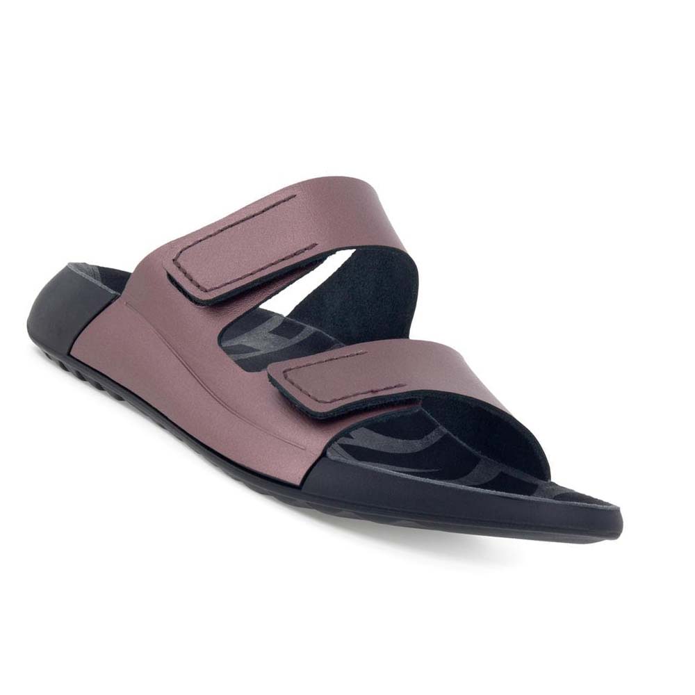 Women's Ecco 2nd Cozmo Two Band Sandals Purple | USA 164TCE